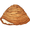 a_sfogliatella_(4).png