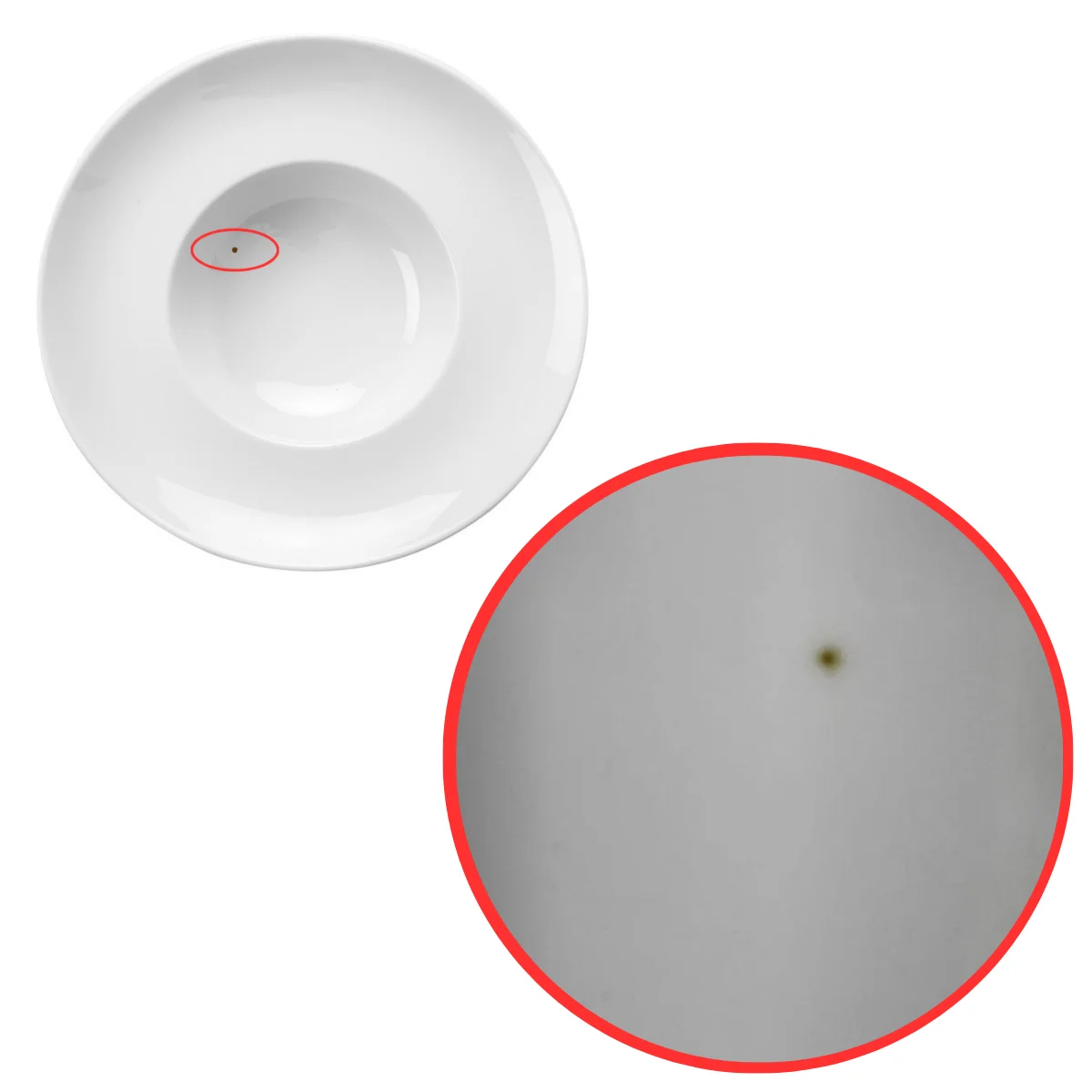 27 cm Gurme Çukur Tabak