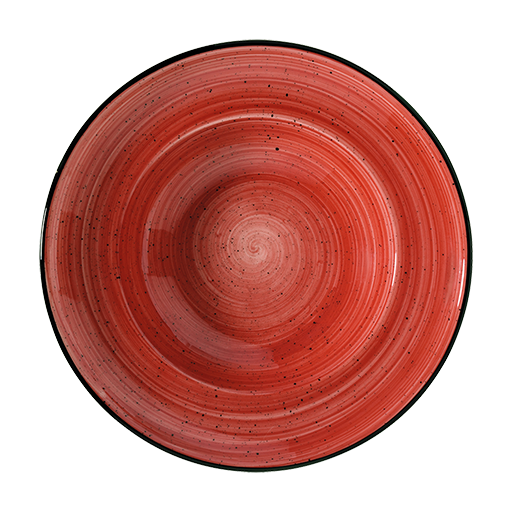 Passion Gourmet Çukur Tabak 24 Cm 400 Cc