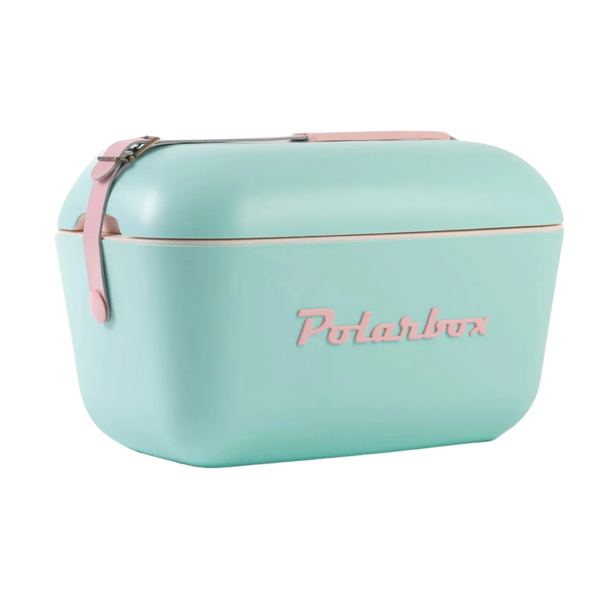 Polarbox Sıcak/Soğuk Tutucu Thermo Çanta Nevera Verde Aqua Asa Piel Marron 12 lt Polarbox Sıcak/Soğuk Tutucu Thermo Çanta Nevera Verde Aqua Asa Piel Marron 12 lt