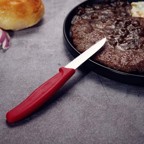 Victorinox Soyma Bıçağı 8cm Testere Ağızlı SwissClassic Kırmızı (VT 6.7431) Victorinox Soyma Bıçağı 8cm Testere Ağızlı SwissClassic Kırmızı (VT 6.7431)