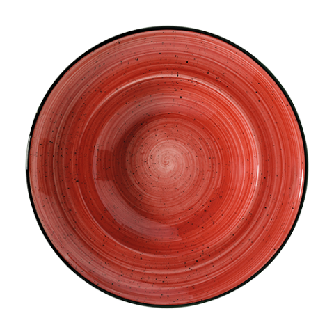 Passion Gourmet Çukur Tabak 24 Cm 400 Cc