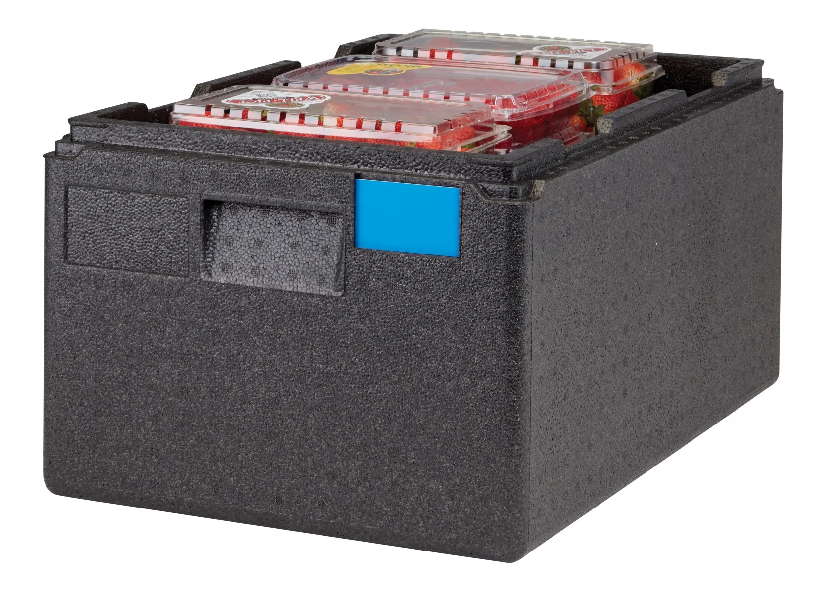 Cambro Cam GoBox EPP Üstten Yüklemeli Gıda Taşıyıcı - Thermobox - 20 cm Derinliğinde GN 1/1 Kap için ( EPP180X )