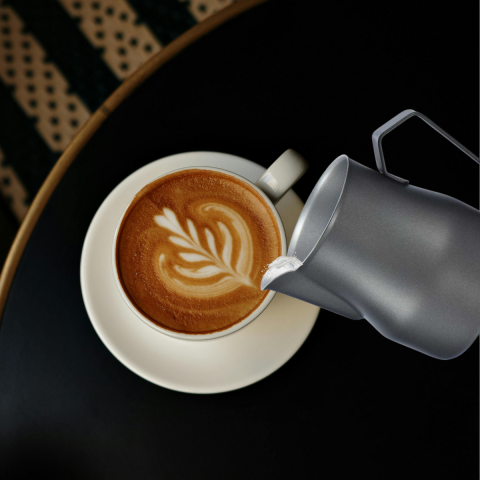 Epinox SPP-S5 Süt Potu Profesyonel 500 ml – Siyah