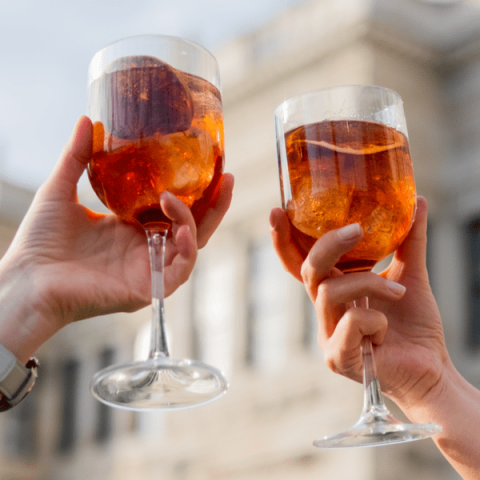 Rubikap Premium Kokteyl Bardağı 480 ml (PM.W48)