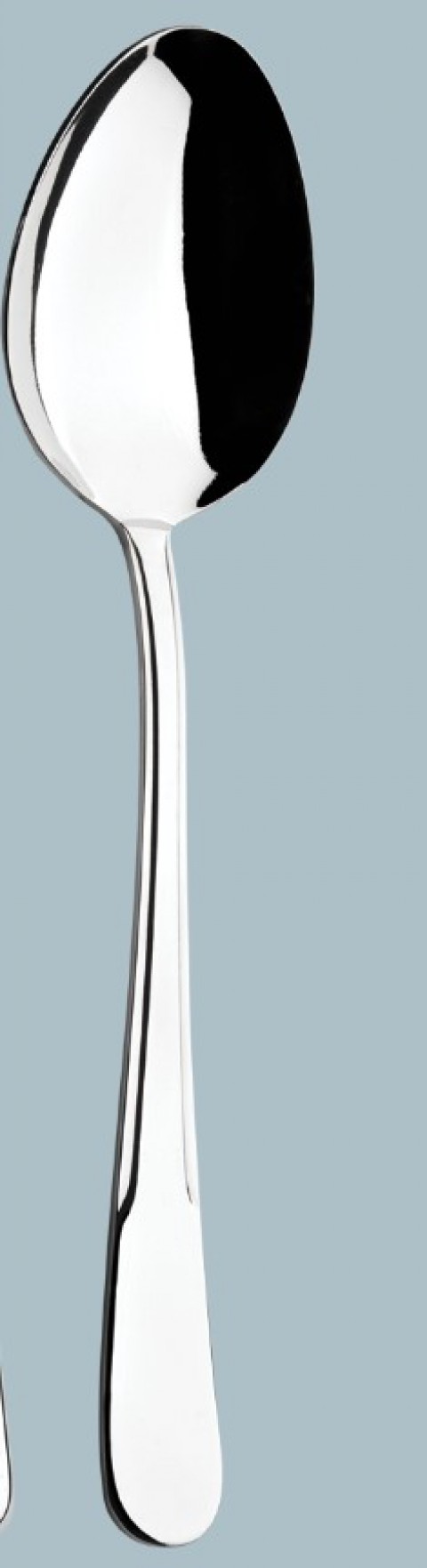 Şehzade Ege Çay Kaşığı