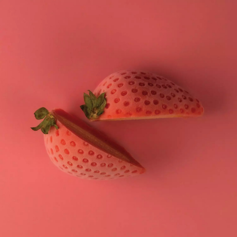 Silikomart Fragola 30 Silikon Kalıp Seti ( 36.281.87.0065)