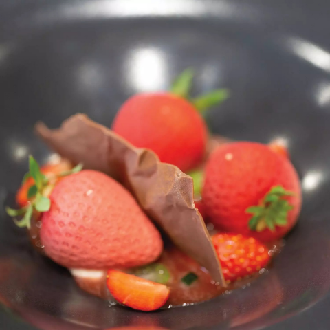 Silikomart Fragola 30 Silikon Kalıp Seti ( 36.281.87.0065)