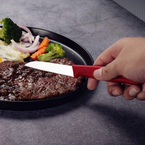 Victorinox Soyma Bıçağı 8cm Testere Ağızlı SwissClassic Kırmızı (VT 6.7431) Victorinox Soyma Bıçağı 8cm Testere Ağızlı SwissClassic Kırmızı (VT 6.7431)